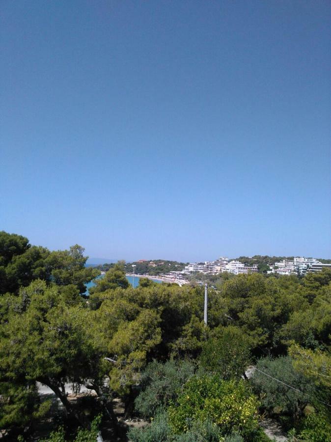 Comfortable Garden Apt Near Vouliagmeni Beach Athén Kültér fotó