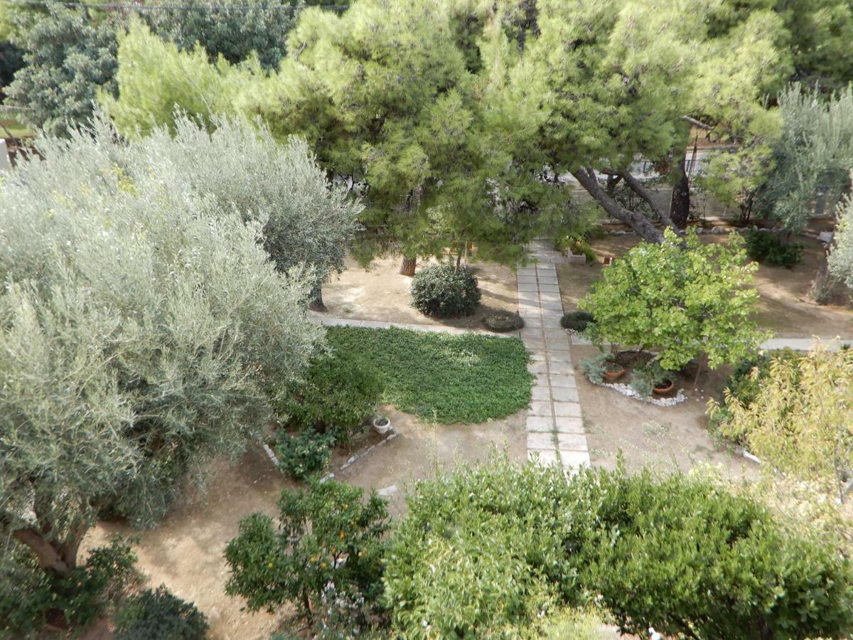 Comfortable Garden Apt Near Vouliagmeni Beach Athén Kültér fotó